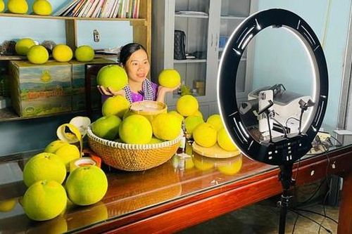 Từ vườn đồi đến sàn thương mại điện tử: Cú 'lột xác' của 'đệ nhất danh quả' Hà Tĩnh