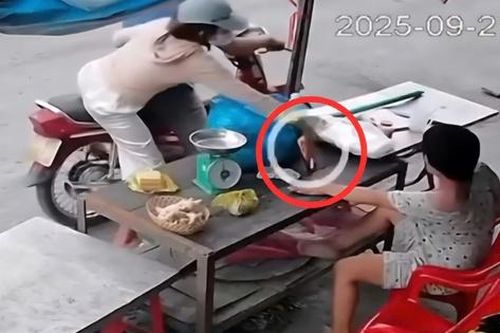 Vụ người phụ nữ khuyết tật tử vong sau một ngày bị giật điện thoại: Bắt giữ nghi phạm thứ hai