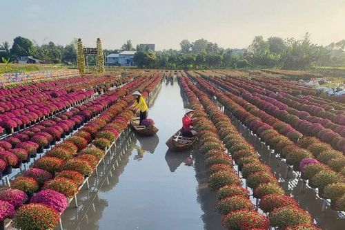Festival Hoa - Kiểng Sa Đéc dự kiến đón nửa triệu khách