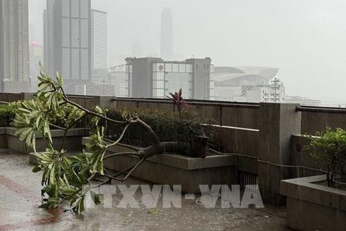 Bão Ragasa: Trung Quốc khuyến cáo người dân cảnh giác với các thảm họa thứ cấp