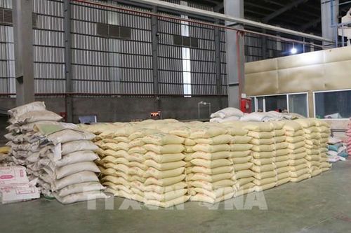 Hoàn thành kế hoạch đấu thầu 200.000 tấn gạo dự trữ quốc gia
