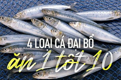 4 loại cá đại bổ ăn 1 tốt 10, ở chợ Việt Nam bán rất rẻ, gặp phải mua ngay