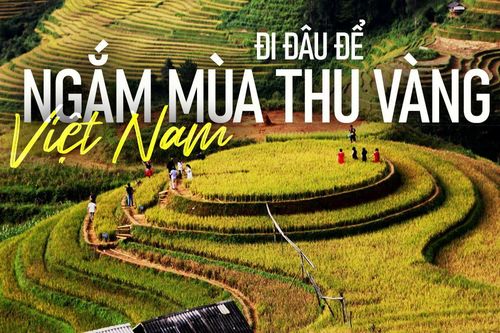 Đi đâu để ngắm mùa thu vàng Việt Nam?