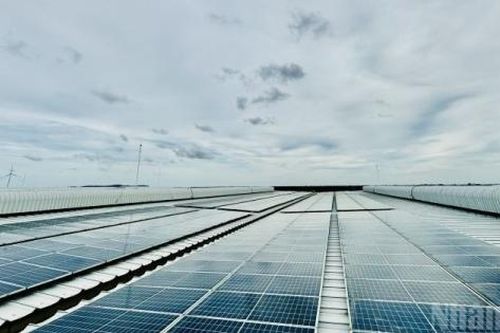 Tin Công Thương 24/9: Việt Nam có bước tiến ấn tượng trong lĩnh vực năng lượng tái tạo