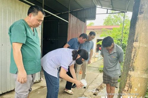 Chủ động phòng, chống dịch bệnh