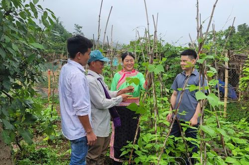 Hồ Chử Goằng - 'Ngọn đuốc' sáng biên cương (bài 4)