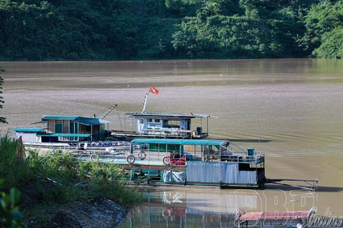 Phát triển kinh tế lòng hồ thủy điện