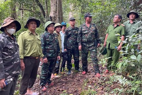 Gia Lai: Phát huy sức mạnh tổng hợp để quản lý, bảo vệ rừng
