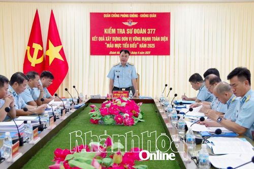 Quân chủng Phòng không - Không quân kiểm tra xây dựng đơn vị vững mạnh toàn diện 'mẫu mực, tiêu biểu' tại Sư đoàn 377