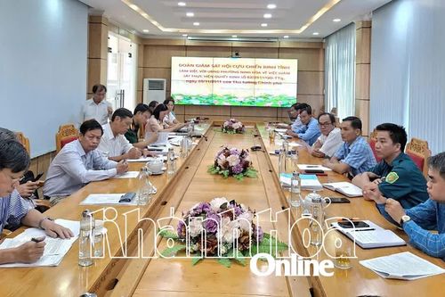 Đoàn giám sát của Hội Cựu chiến binh tỉnh làm việc với UBND phường Ninh Hòa