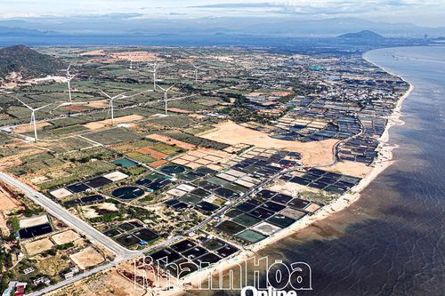 Nỗ lực giải phóng mặt bằng dự án điện hạt nhân
