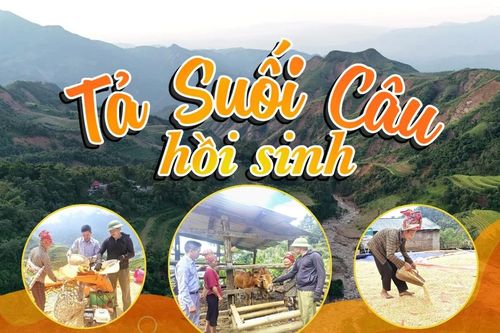 Tả Suối Câu hồi sinh