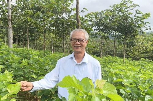 'Cập nhật' cây lâu năm ở Đức An