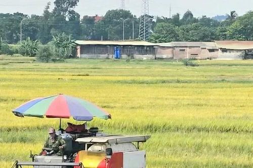 Xã Liên Hòa - Khát vọng bứt phá từ sức mạnh đoàn kết