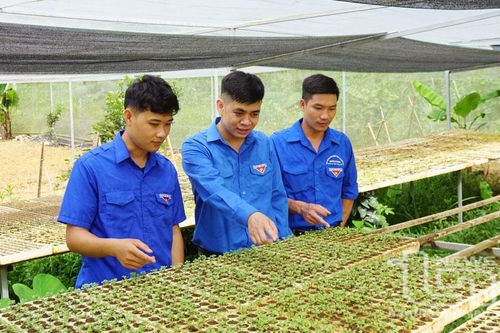 Đưa nghị quyết về cơ sở