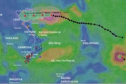 Bão số 9 sẽ đổ bộ vào đất liền Quảng Ninh trưa chiều mai