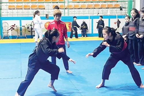 Nâng cao chất lượng đào tạo vận động viên thể thao thành tích cao