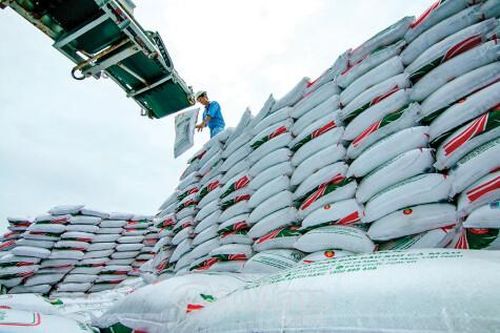 Cà Mau cất cánh từ những trụ cột kinh tế