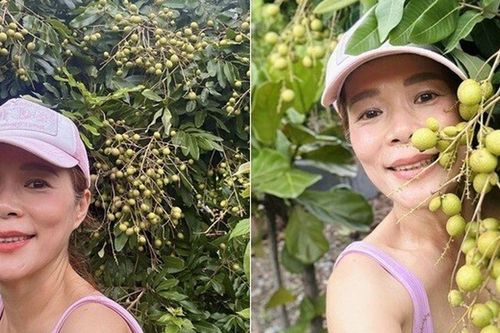 'Phú bà' showbiz Việt khoe nông sản đã mắt trong khu vườn 10.000m2, có giống gà hàng triệu đồng/con