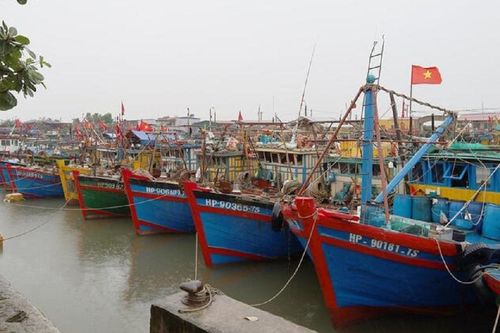 Hải Phòng, Hưng Yên đồng loạt cấm biển, di dời dân để ứng phó bão Ragasa