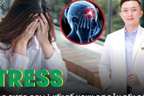 Tại sao nói stress là yếu tố nguy cơ dẫn đến đột quỵ?