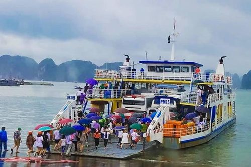 Từ 10h hôm nay, Quảng Ninh tạm ngừng cấp phép tàu hoạt động trên biển