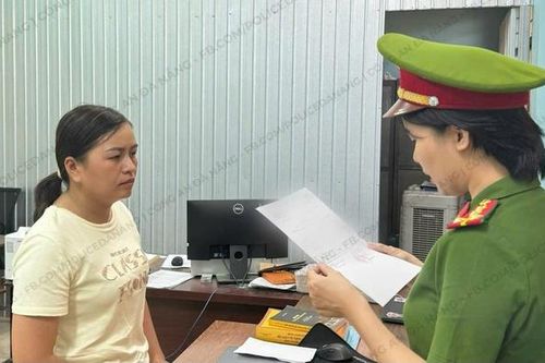 Bắt 'nữ quái' lừa đảo môi giới mua bán đất, chiếm đoạt hơn 2 tỷ đồng