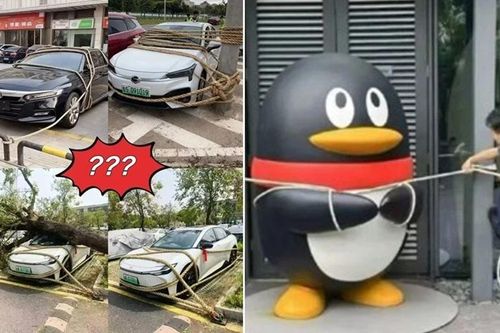 Hình ảnh ô tô được buộc dây ở Trung Quốc để chống bão Ragasa: Sự thật là gì?