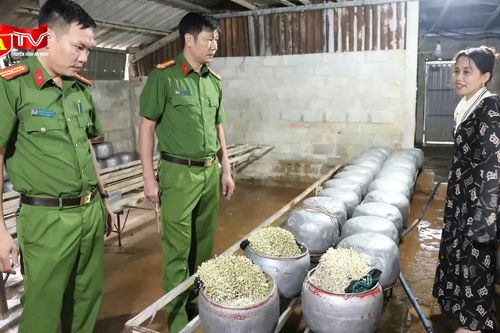 Bí mật của 'nước kẹo', làm giá đỗ trắng mập bất thường