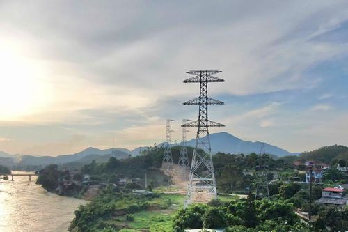 Xử phạt Công ty Cổ phần Thái Bình Dương hơn 137 triệu đồng vì phá rừng tự nhiên
