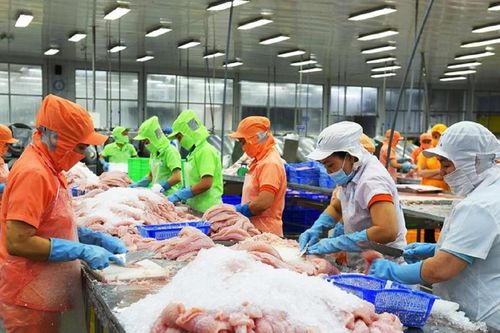 Nâng quy mô chương trình tín dụng đối với lĩnh vực nông, lâm, thủy sản