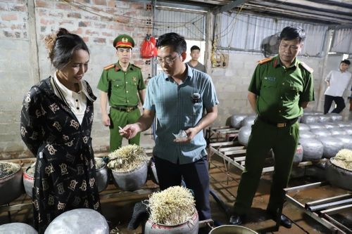 Phát hiện cơ sở sản xuất gần 500 kg giá đỗ ngâm chất cấm