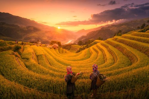 Cảnh đối lập sáng, chiều đẹp như tranh ở Mù Cang Chải