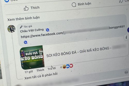 Ông Châu Việt Cường nói không liên quan fanpage quảng cáo cá độ