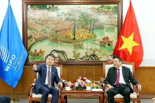 Thúc đẩy sức sáng tạo của đội ngũ văn nghệ sĩ, nhân dân thông qua bảo vệ bản quyền