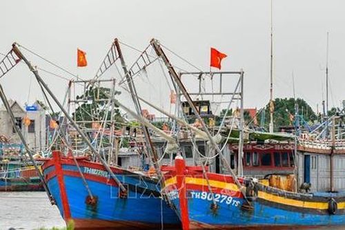 Nhiều tỉnh, thành kêu gọi tàu thuyền vào nơi tránh trú bão an toàn