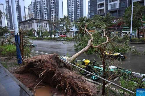 Trung Quốc phân bổ ngân sách cho các tỉnh bị ảnh hưởng do bão Ragasa