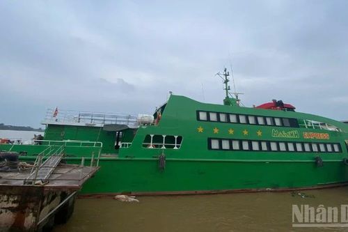 Hoãn cưỡng chế tàu cao tốc Mai Linh Express