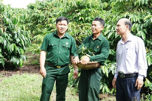 Người cựu chiến binh gieo mầm no ấm trên vùng đất mới