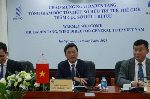 Đề xuất WIPO hỗ trợ đào tạo thẩm định viên, thúc đẩy thương mại hóa tài sản trí tuệ