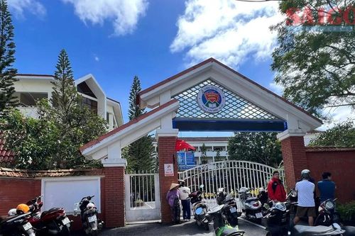Lâm Đồng: Tạm đình chỉ Hiệu trưởng Trường Tiểu học Trưng Vương xung quanh ồn ào thực phẩm 'bẩn'