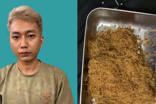 Công an cảnh báo ma túy 'Tobacco' tẩm ướp tinh vi trong thực vật khô