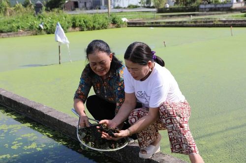 Mô hình giảm nghèo bền vững vùng đồng bào dân tộc thiểu số Thái Nguyên