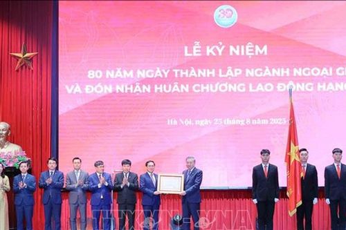 Chính phủ ban hành Kế hoạch phát triển ngành ngoại giao toàn diện, hiện đại đến năm 2045
