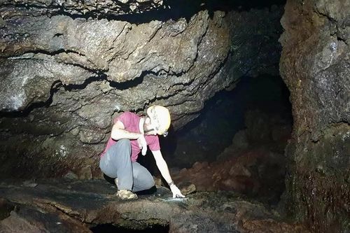 Kho báu giữa đại ngàn