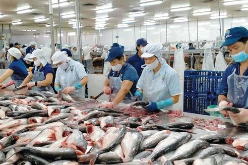 185.000 tỷ đồng cho vay nông - lâm - thủy sản, lãi suất rất thấp
