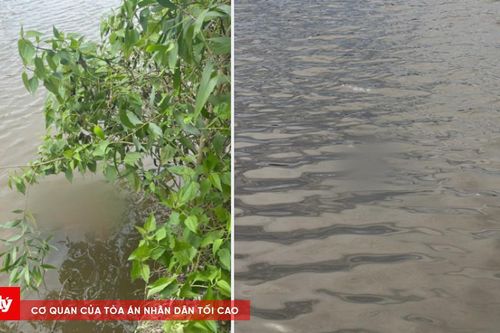 Thông tin mới vụ 2 thi thể dưới ao nước ở Tây Ninh