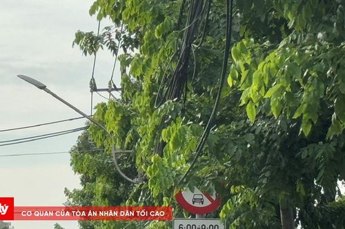 Sở Xây dựng TP.HCM: Các biển báo, vạch kẻ đường không bị xuống cấp