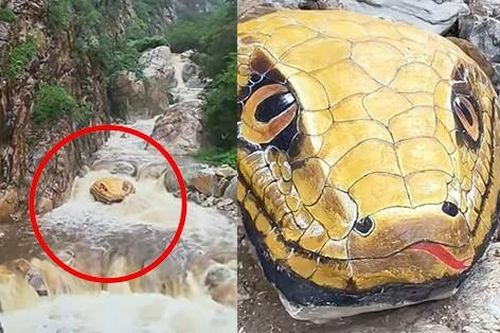 Thực hư 'trăn khổng lồ' bất ngờ xuất hiện giữa suối khiến du khách hoảng sợ