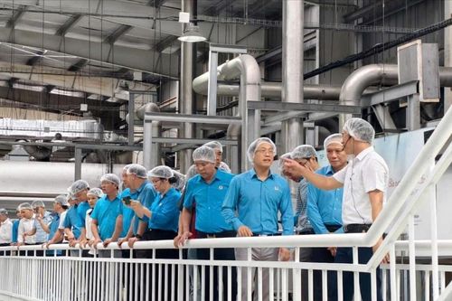 Công đoàn Nghệ An đánh thức sức mạnh người lao động bằng phong trào thi đua